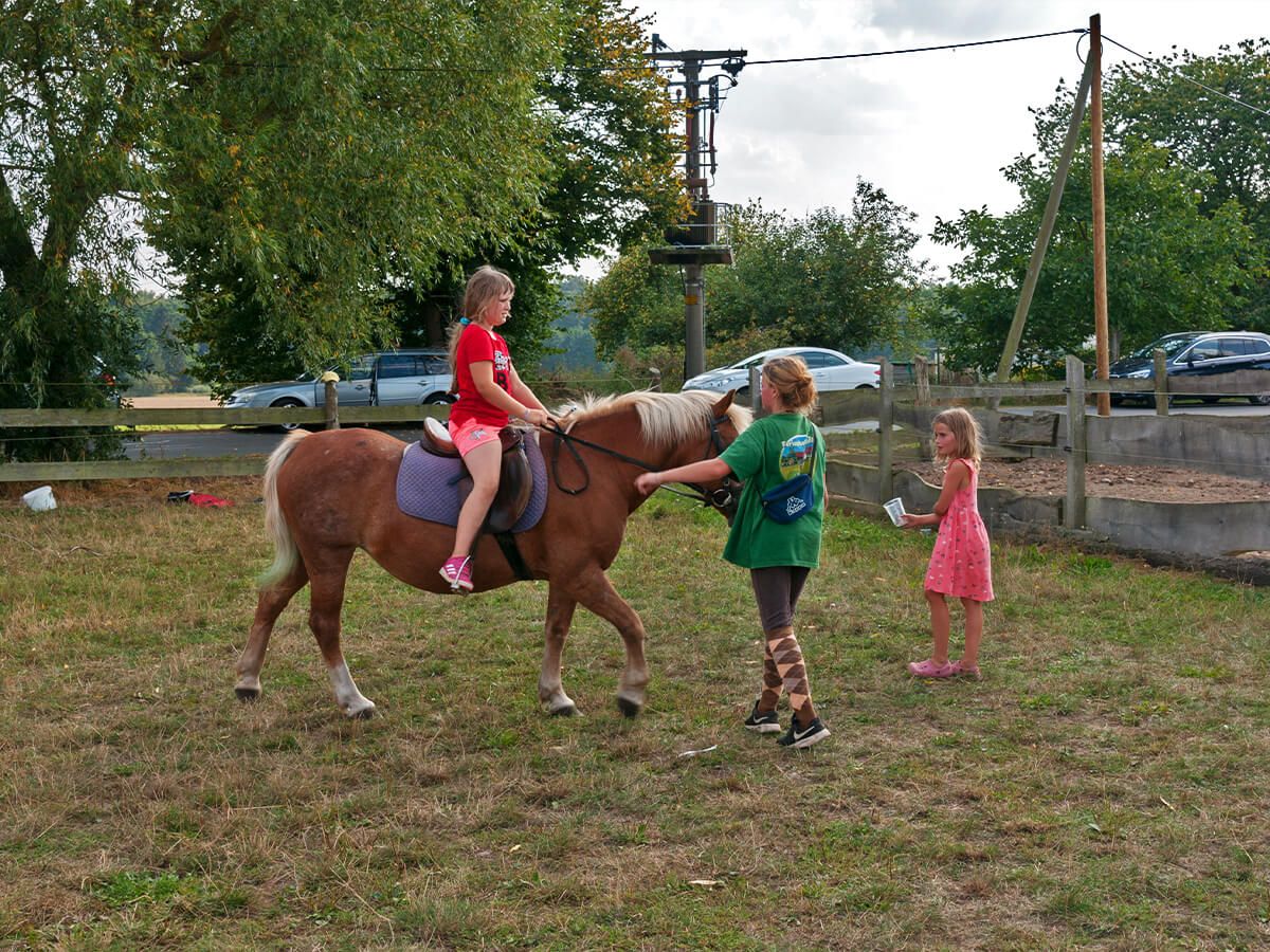 Reiten auf dem Ferienhof_c80_scale_1335_1000.jpg